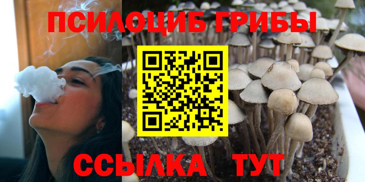 Псилоцибиновые грибы Magic Shrooms  Вход с VPN  Галлюциногенные грибы прущие грибы  Маркс 