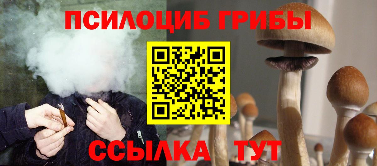 Псилоцибиновые грибы прущие грибы Маркс